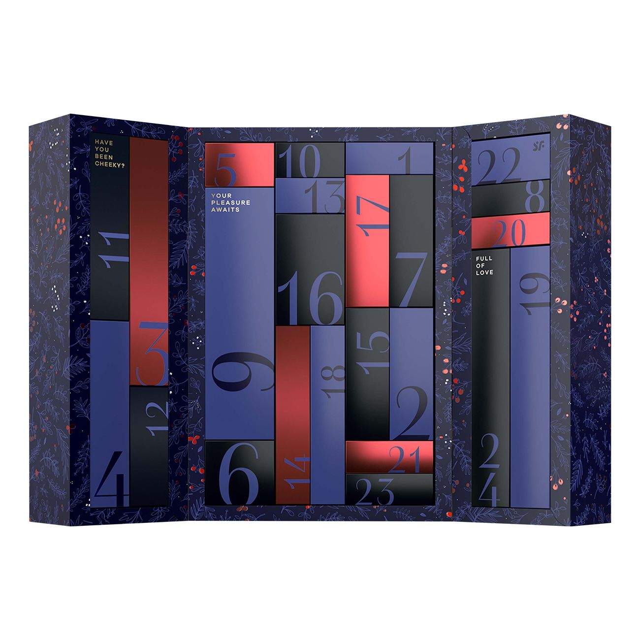 satisfyer-premium-adventskalender-2024-104433-2