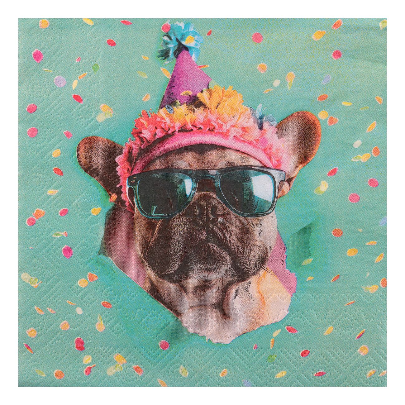 Servetter Party Hund