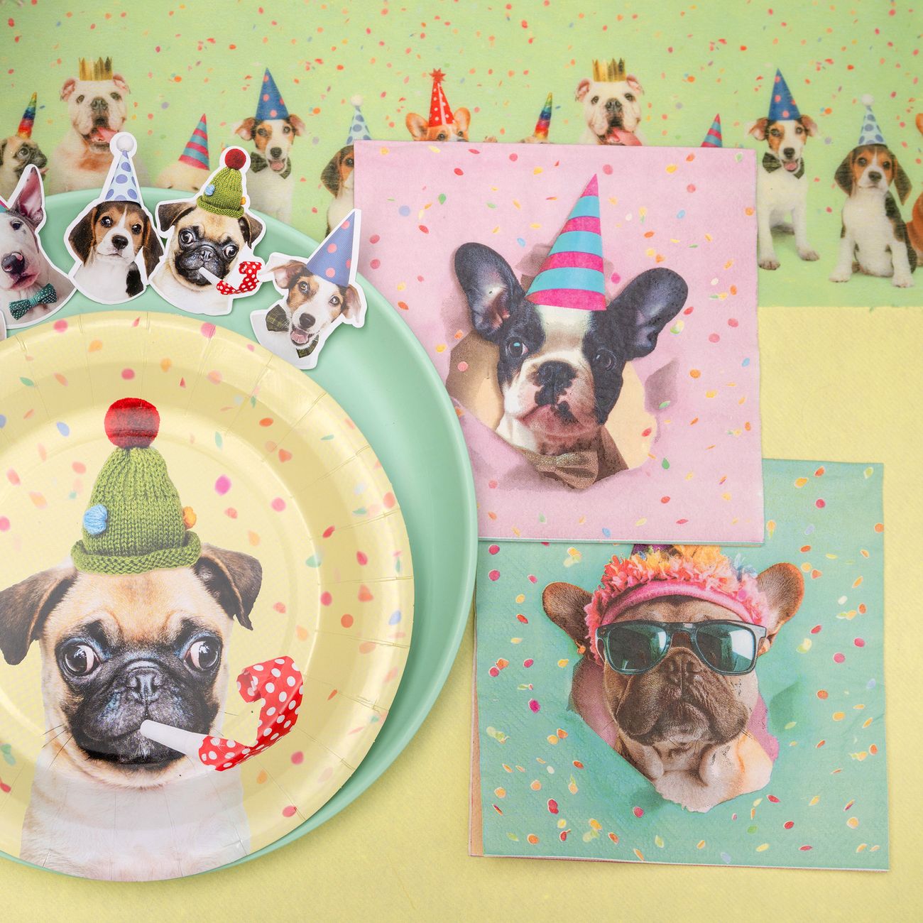 Servetter Party Hund