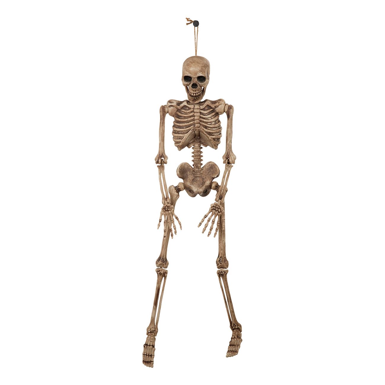 skeleton-106cm-1