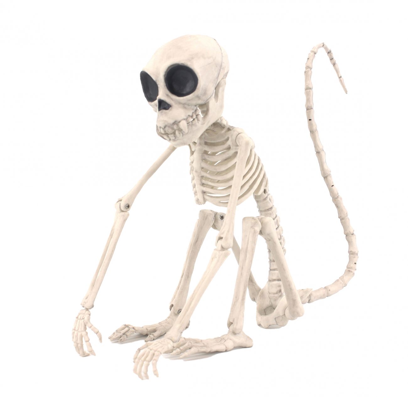 skelett-apa-prop-89313-1
