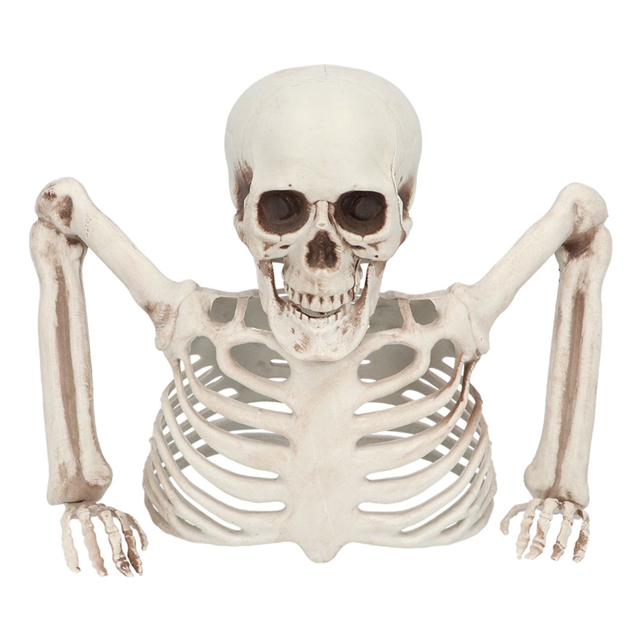 skelett-genom-marken-102081-1