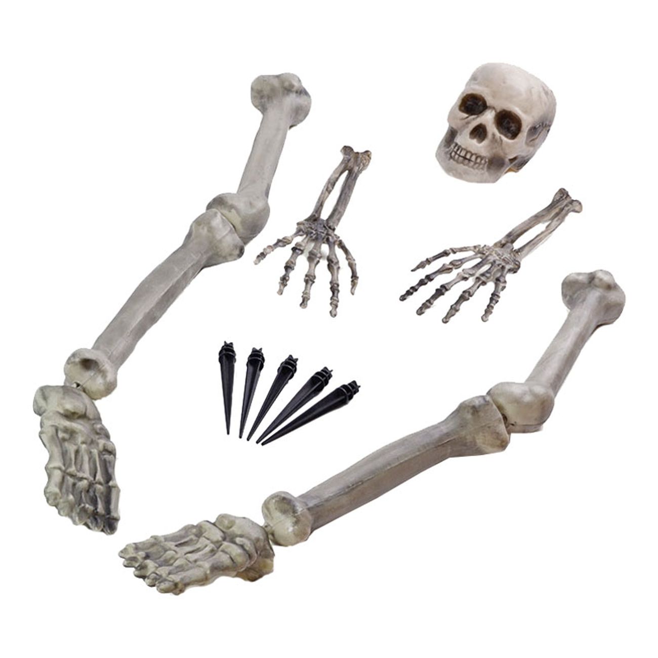 skelett-i-marken-prop-2