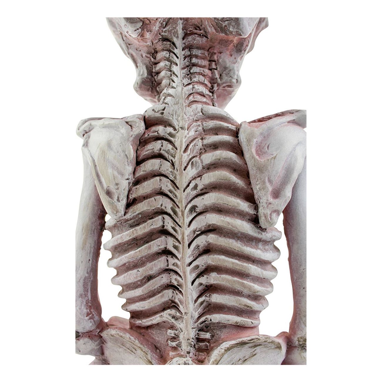 skelett-med-lampa-solcell-4