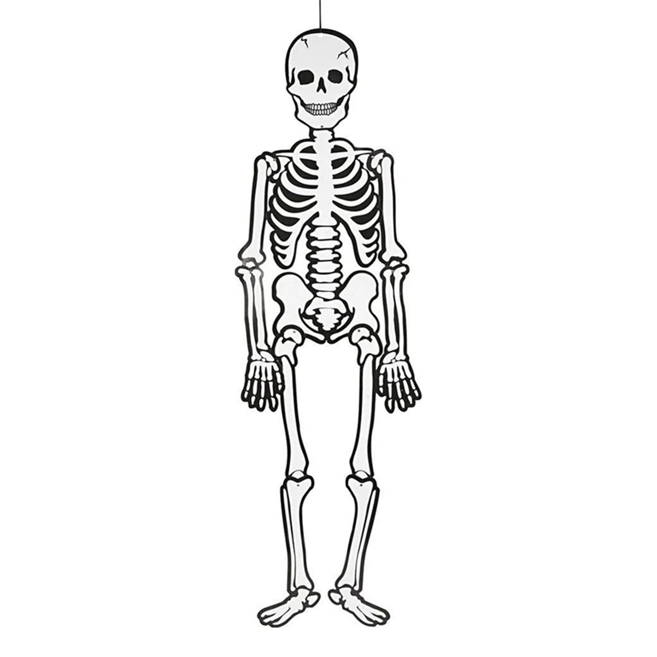 skelett-prop-89731-1