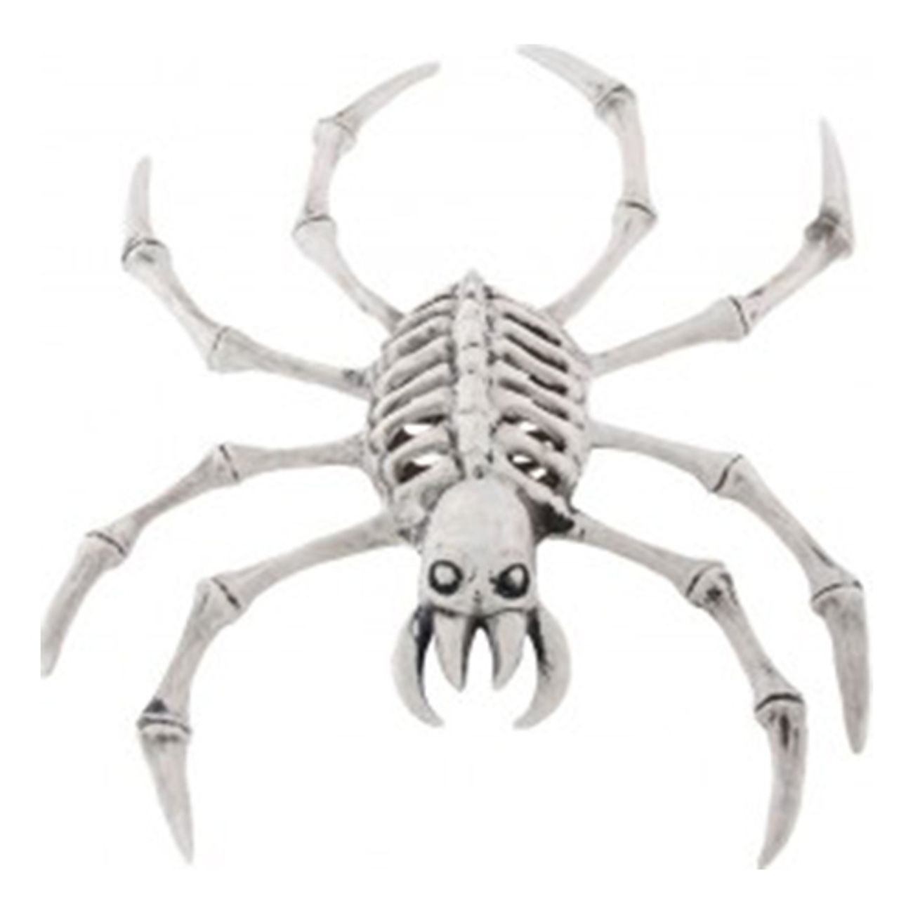 skelett-spindel-1