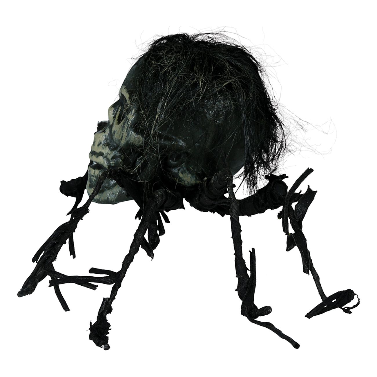 Skelett Spindel Prop