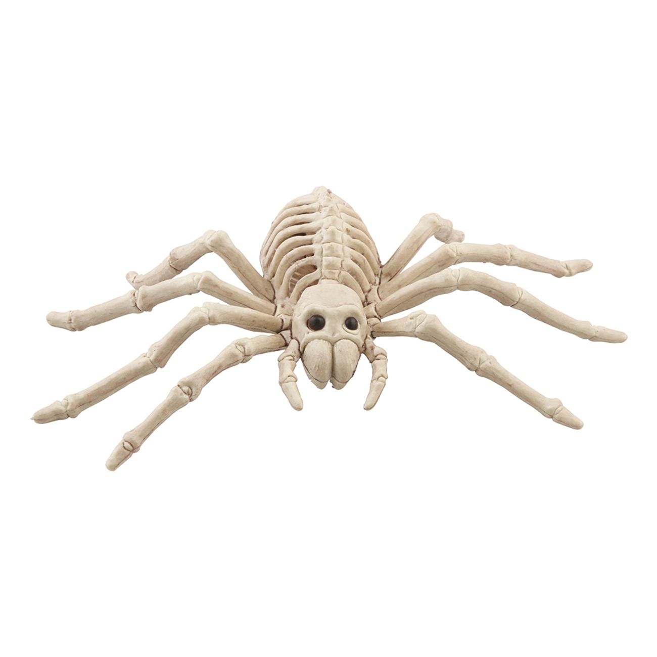 skelett-spindel-prop-89316-1