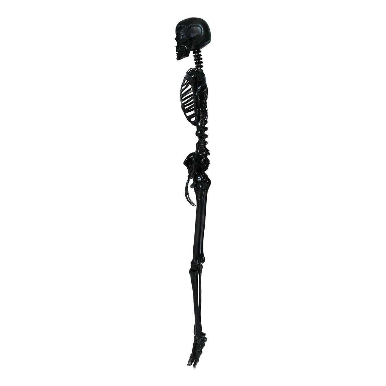 Skelett Svart Prop