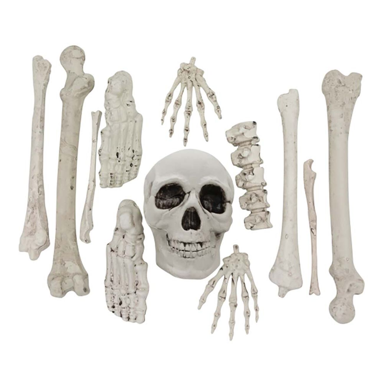 skelettdelar-av-plast-96152-1