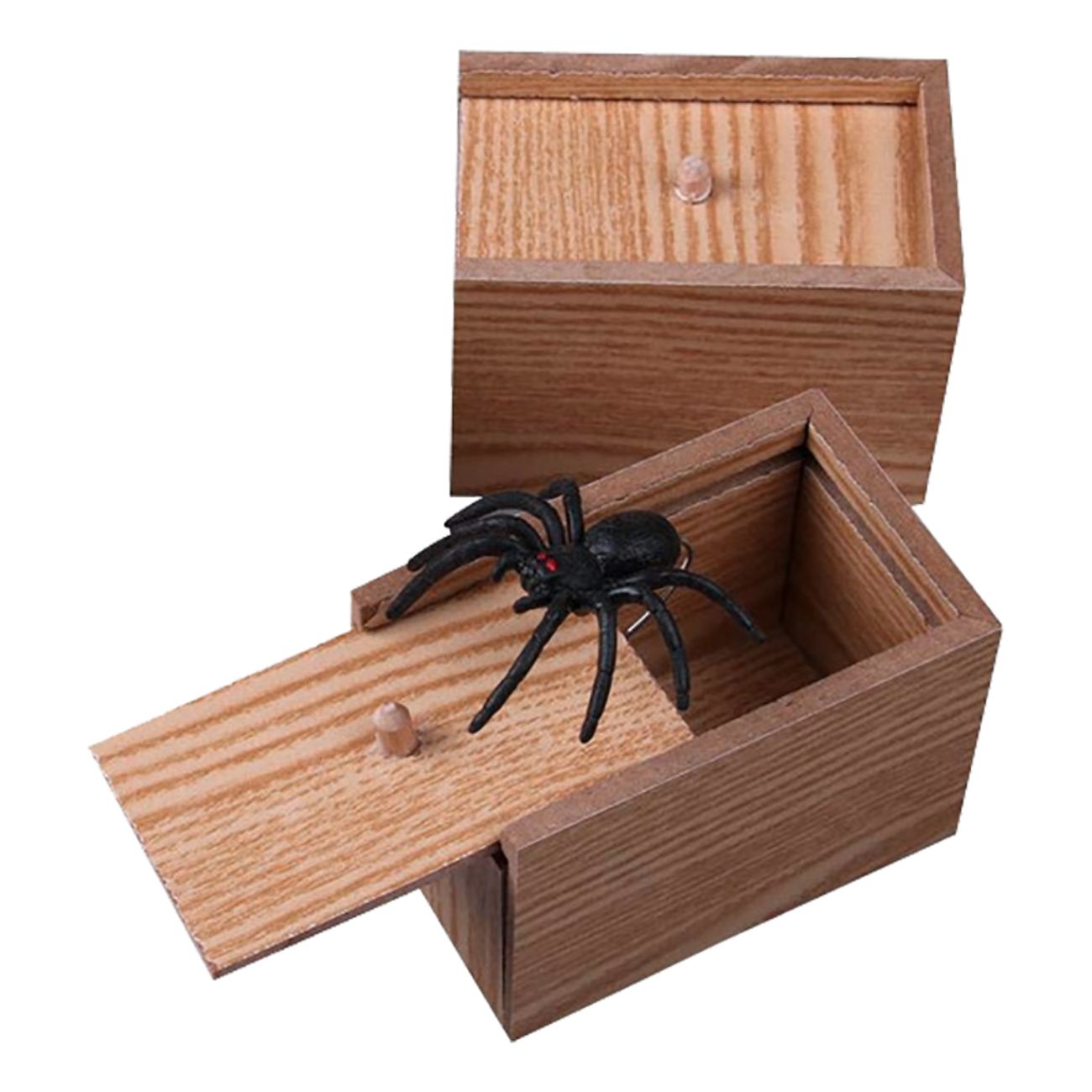 spider-box-1