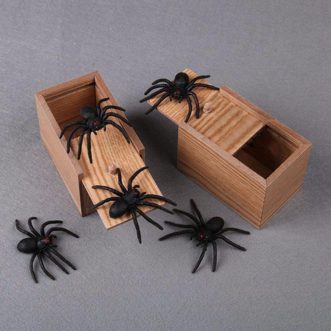 spider-box-2