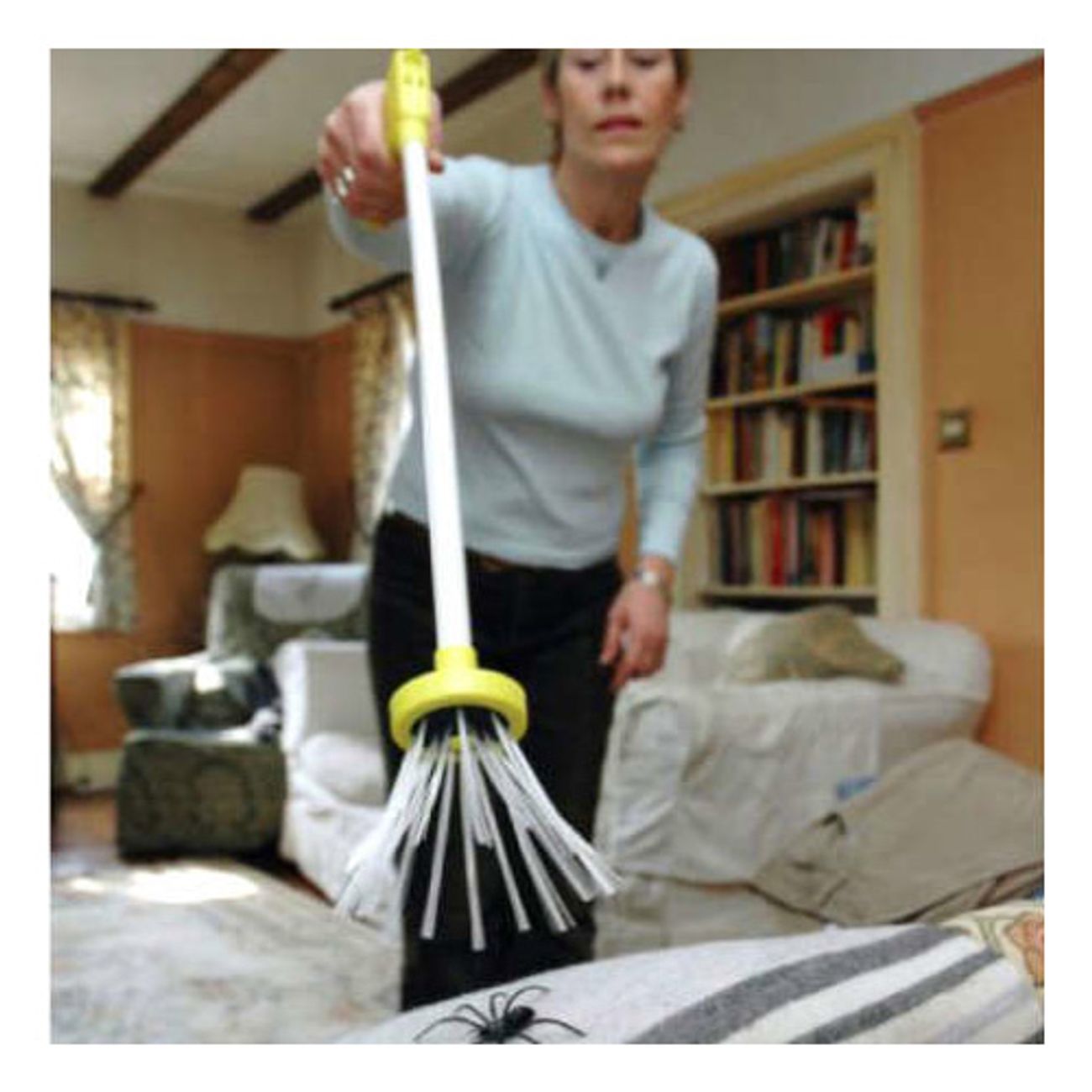 spider-catcher-3