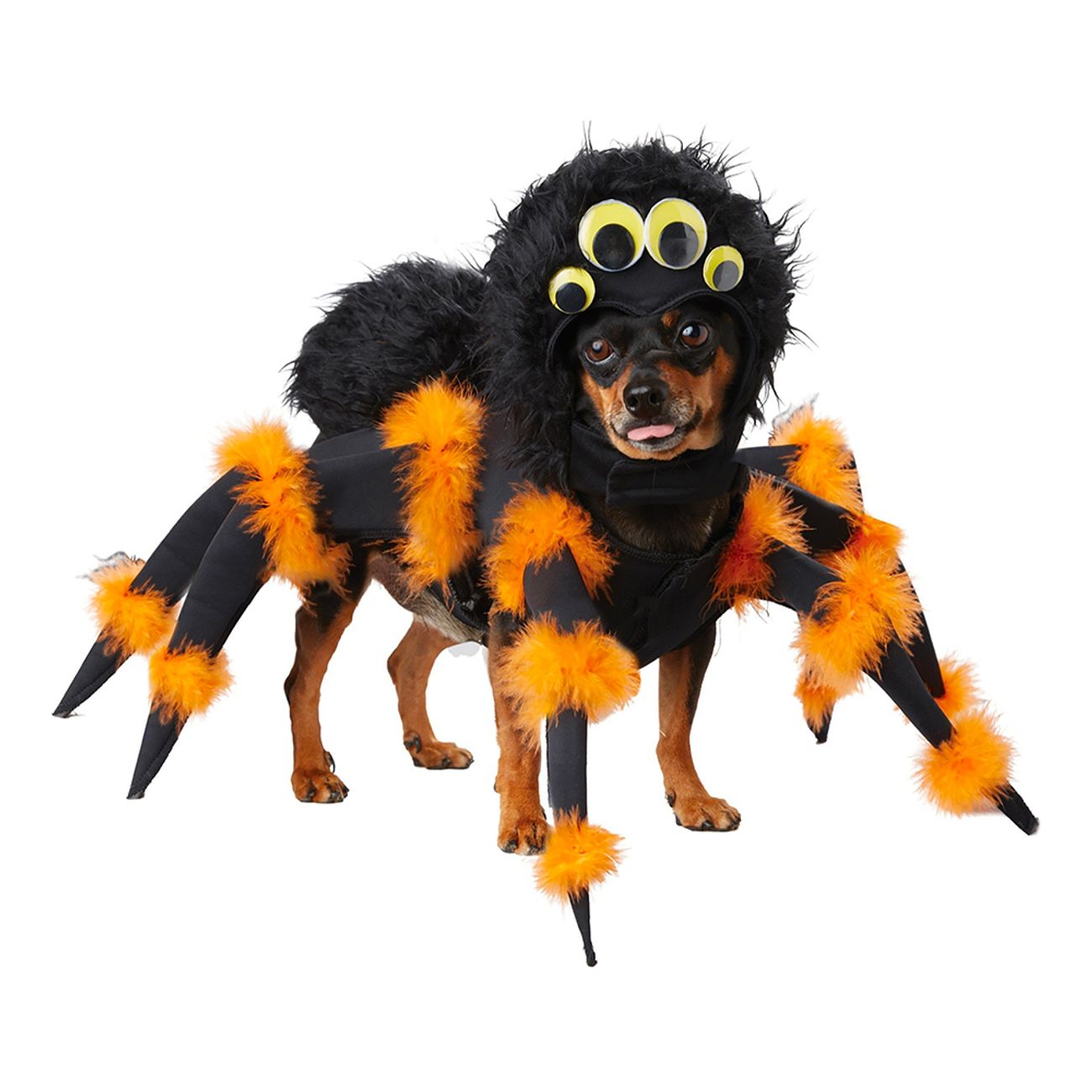 spindel-hund-maskeraddrakt-84667-1