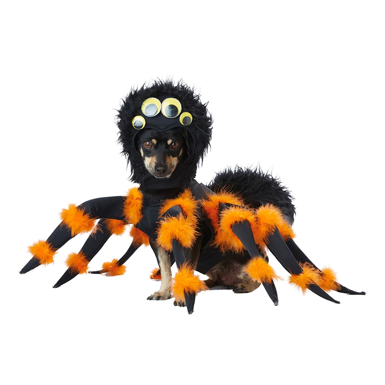 spindel-hund-maskeraddrakt-84667-3