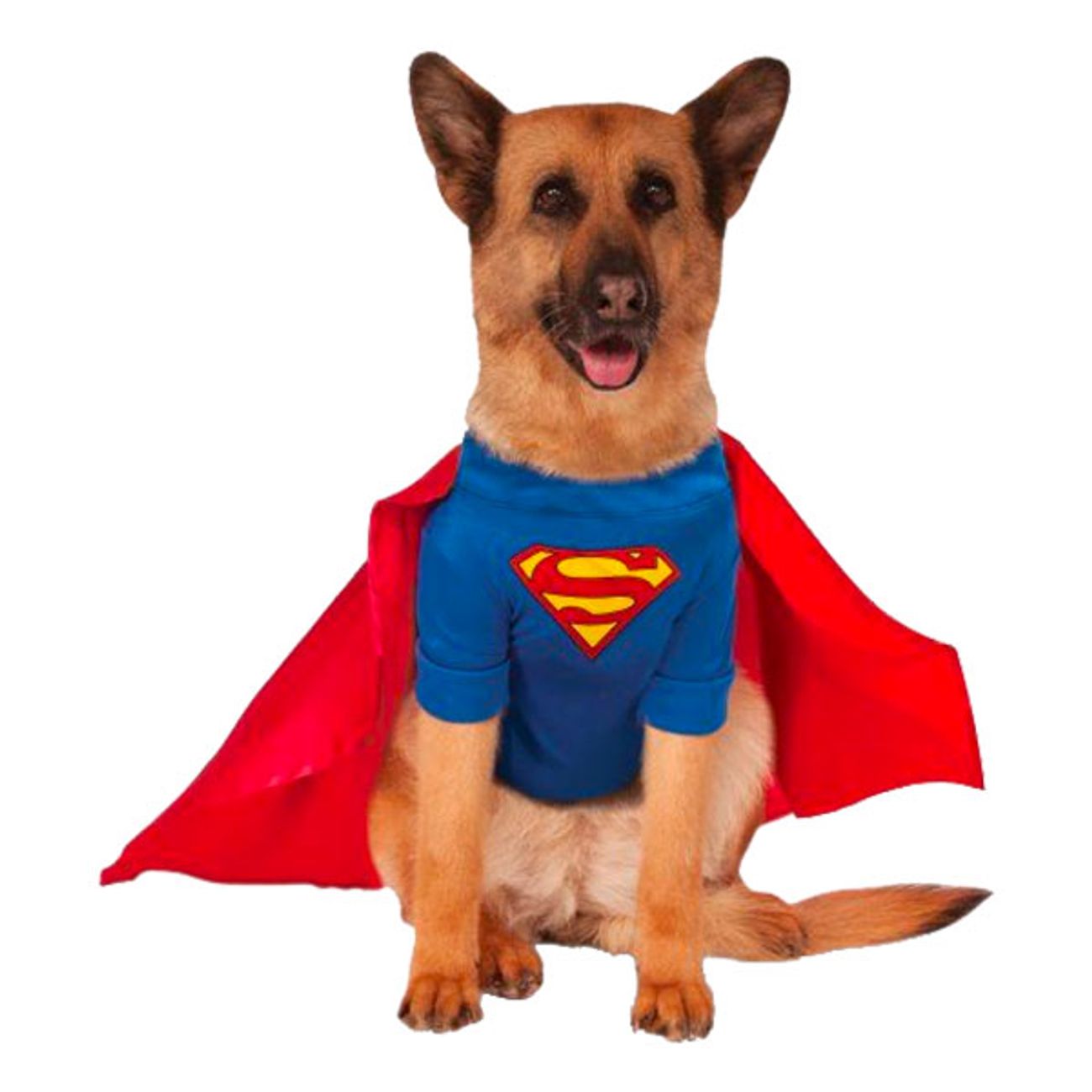 superman-hund-maskeraddrakt-76362-1