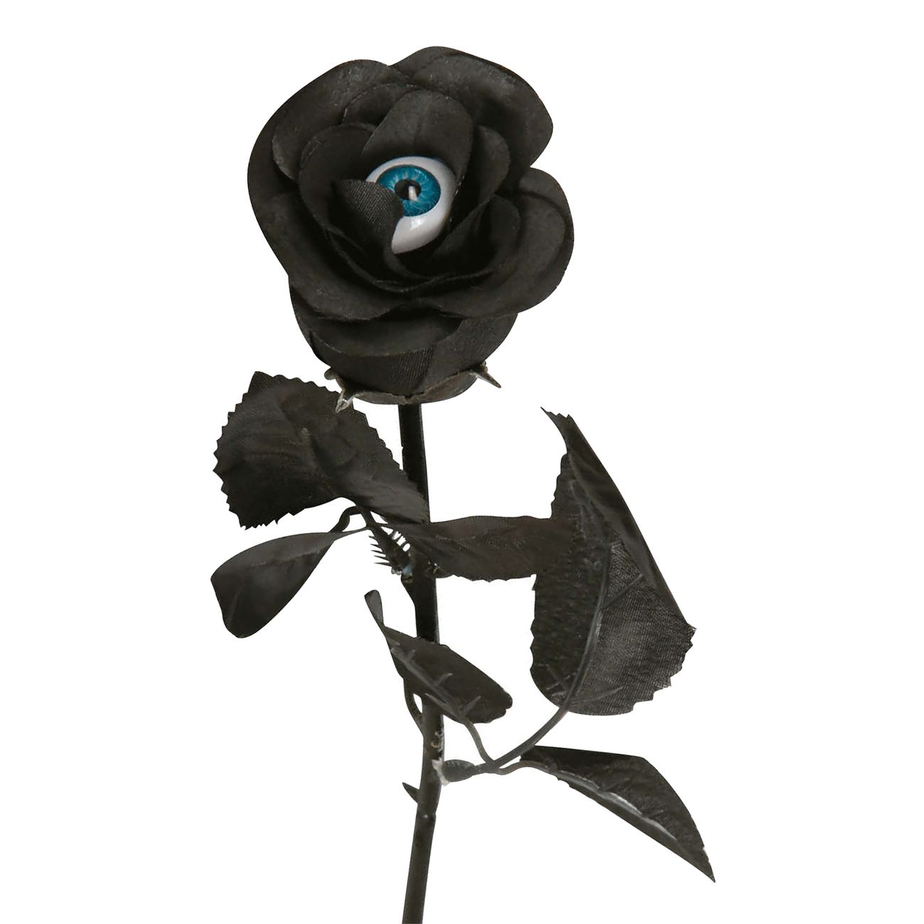 svart-blomma-med-oga-98610-1