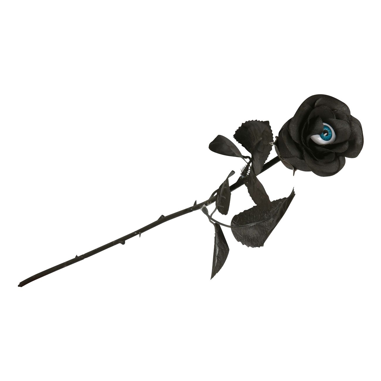 svart-blomma-med-oga-98610-2