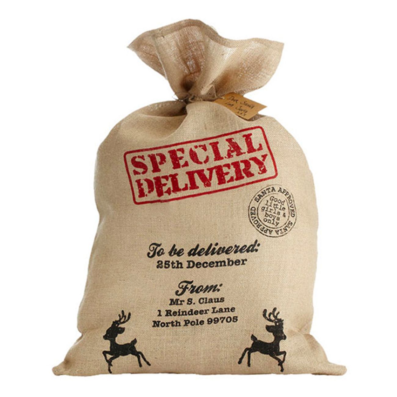 tomtesack-special-delivery-1