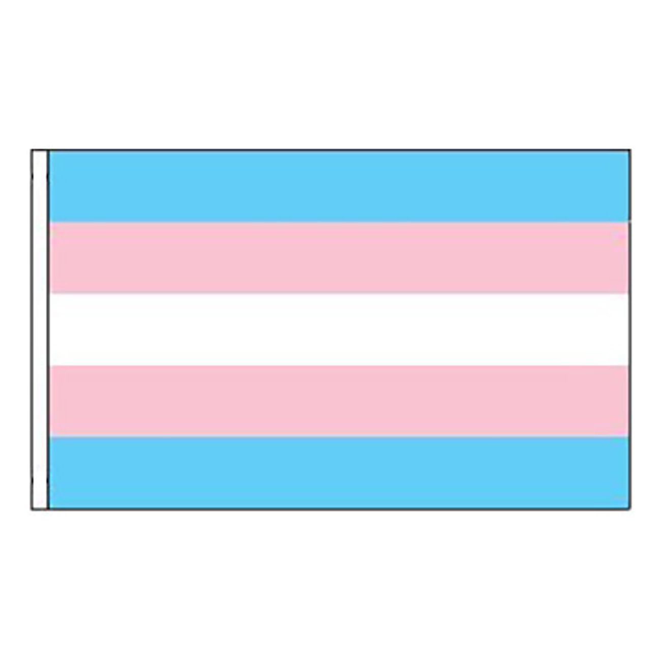 transflagga-for-flaggstang-3