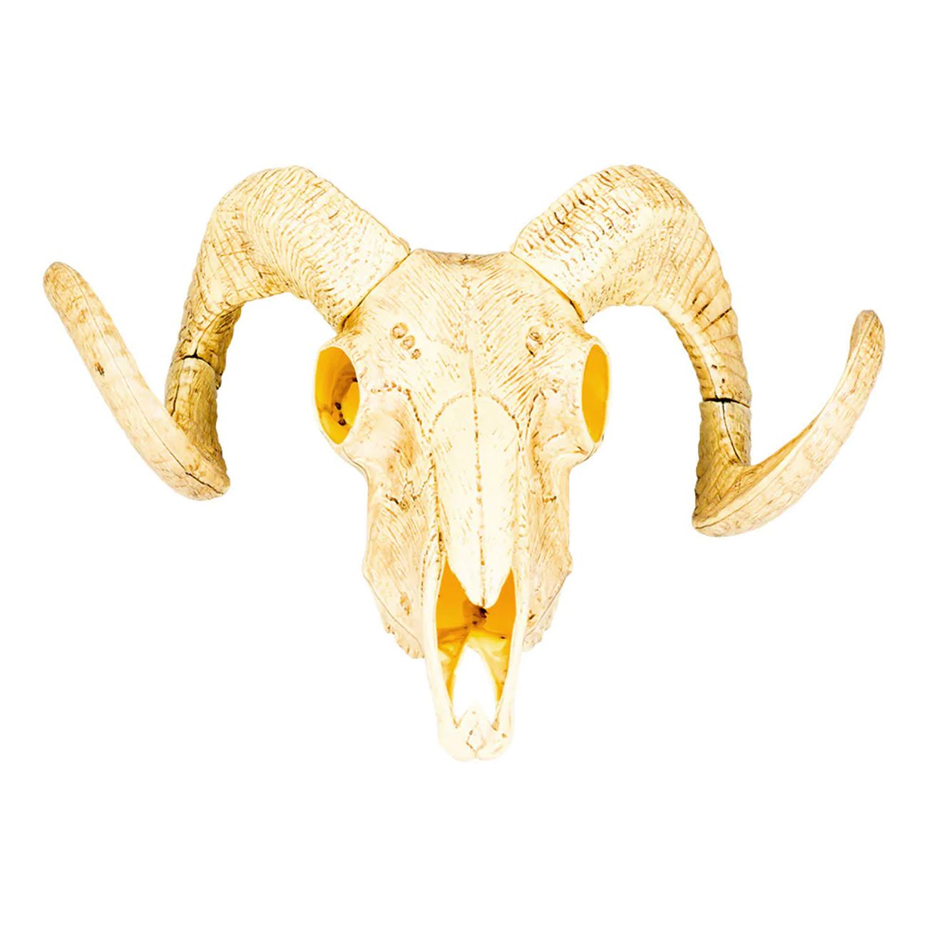 Väggdekoration Djurskalle Wild West