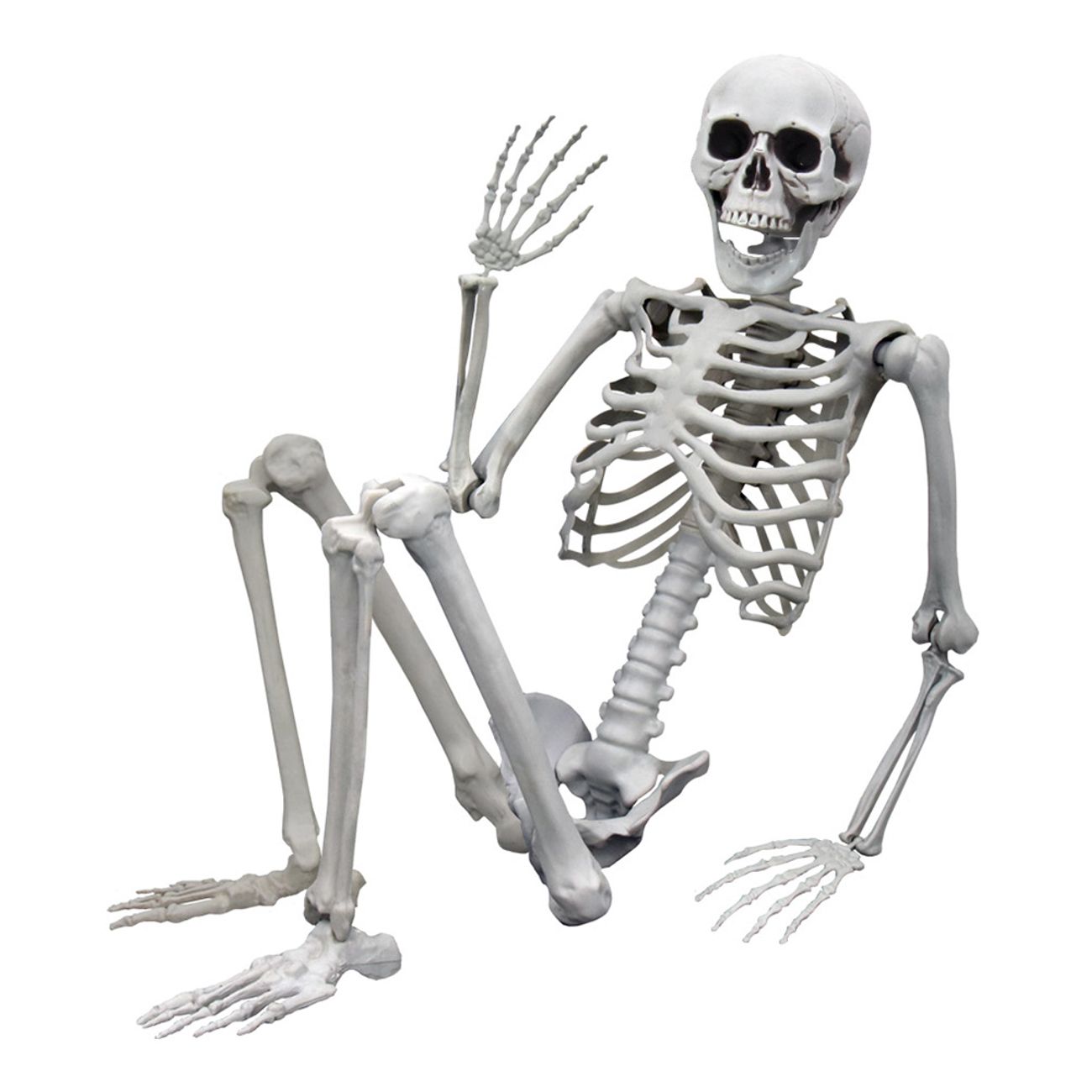 verklighetstroget-skelett-1