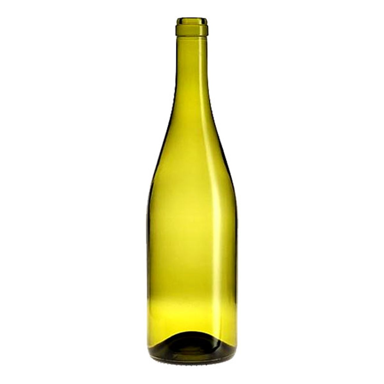 vinflaska-bourgogne-1