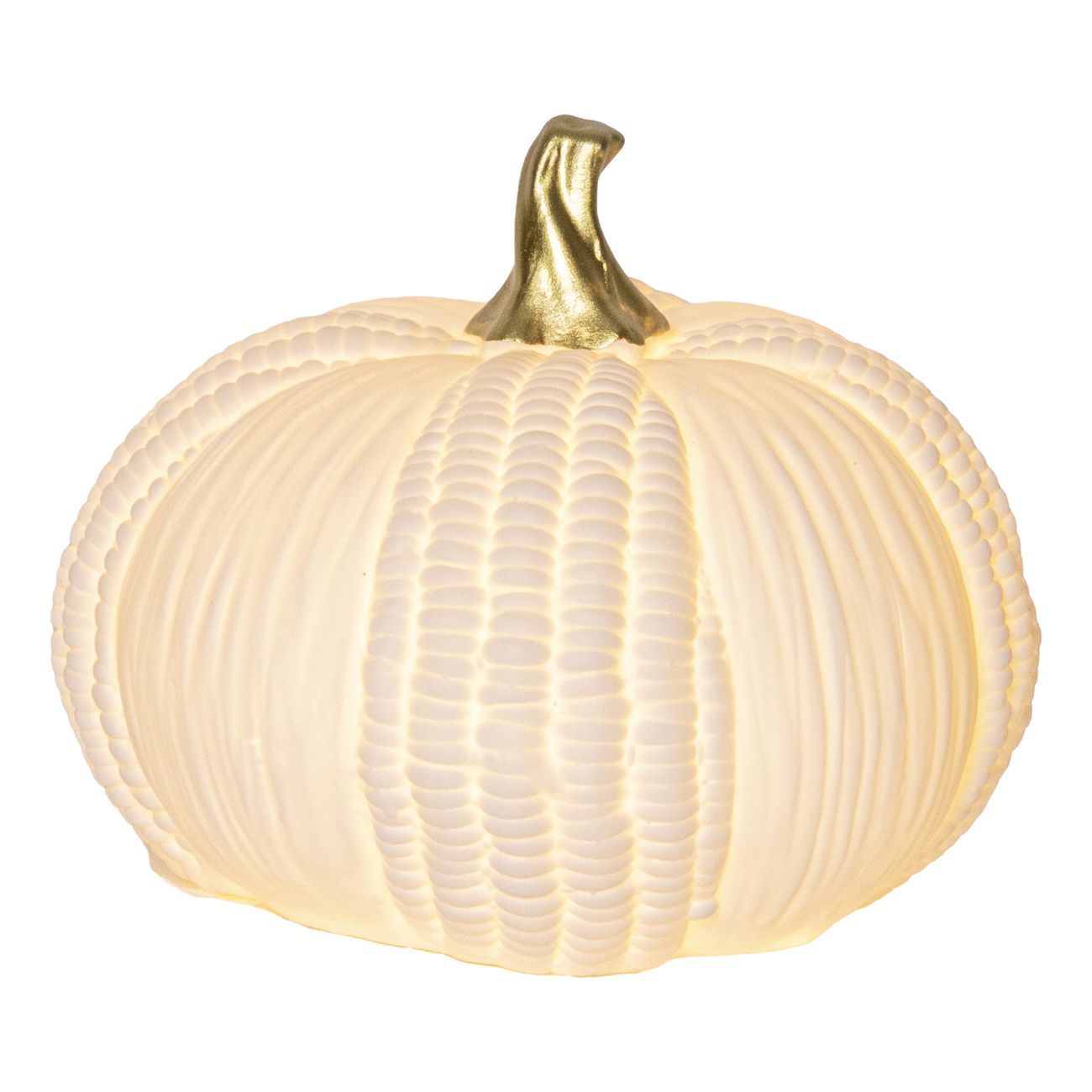 Vit Pumpa LED