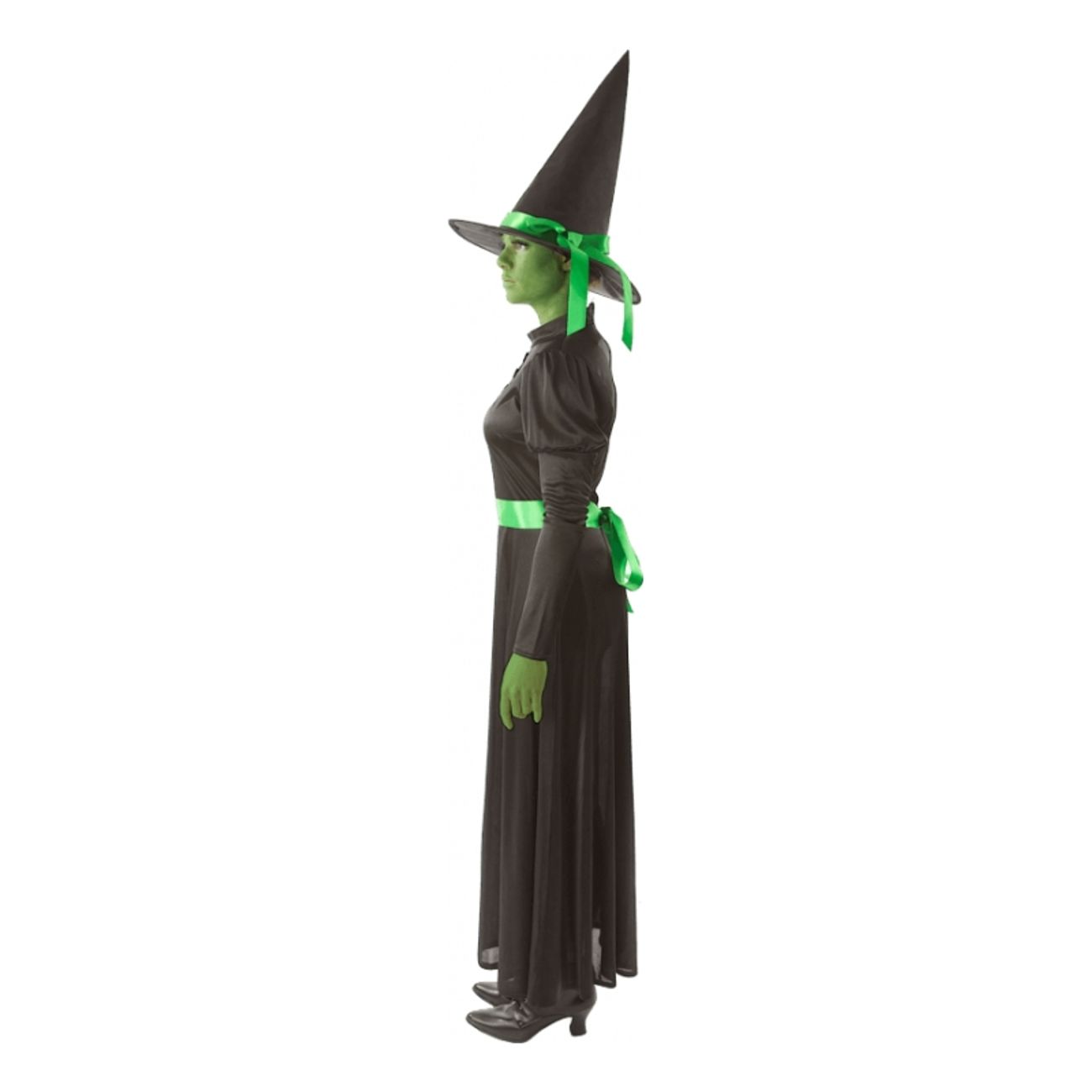 wicked-witch-outfit-medium-2