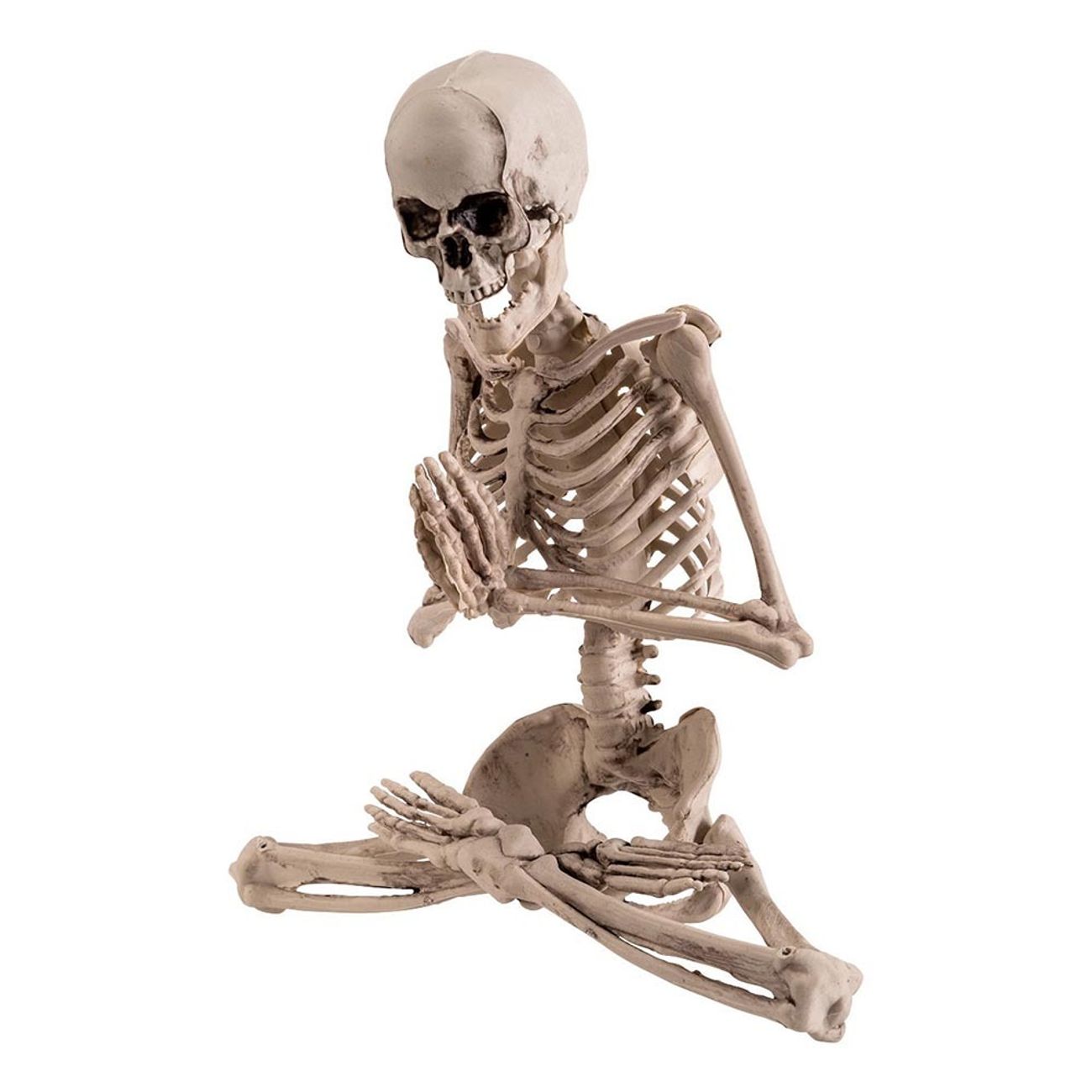yoga-skelett-prop-1