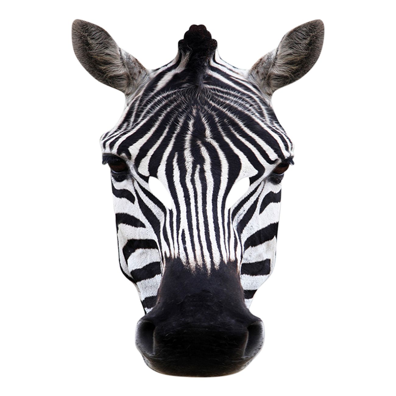 zebra-pappmask-2