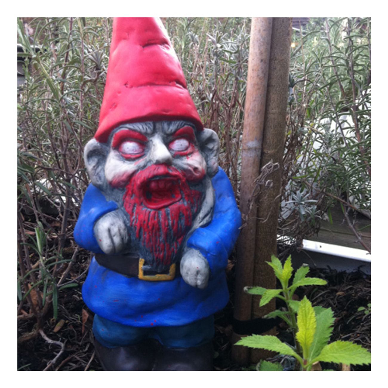 zombie-gnome-4