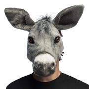 Åsna Halvmask