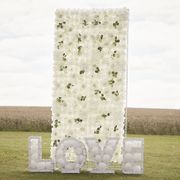 backdrop-blomvagg-med-rosor-83547-1