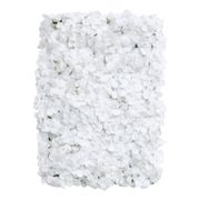 Backdrop Hortensia Vit