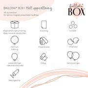 ballongbox-boho-grattis-pa-fodelsedagen-91277-4