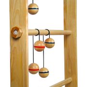 bex-spin-ladder-pro-81265-2