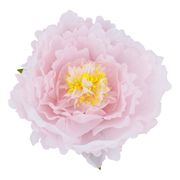 Bordsdekoration Pion Rosa