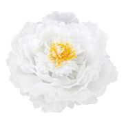 Bordsdekoration Pion Vit