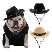 cowboy-hat-for-dogsblack-82827-1