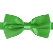 Fluga Klassisk Grön