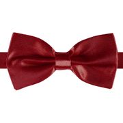 Fluga Klassisk Vinröd