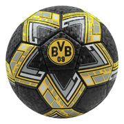 Fotboll Borussia Dortmund