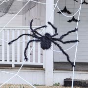 giant-spider-web-91150-2