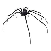 Gigantisk Bøyelig Edderkopp