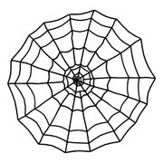 Valtava Hämähäkinverkko Musta