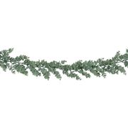 Girlang Eukalyptus