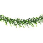 Girlang Eukalyptus