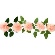 Girlang Pioner Peach