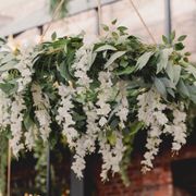 girlang-wisteria-med-blommor-94552-4